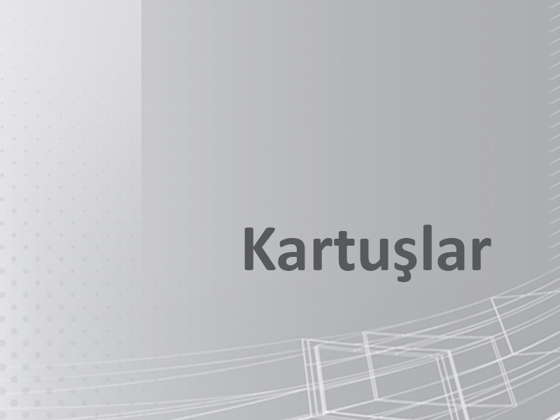 Kartuşlar